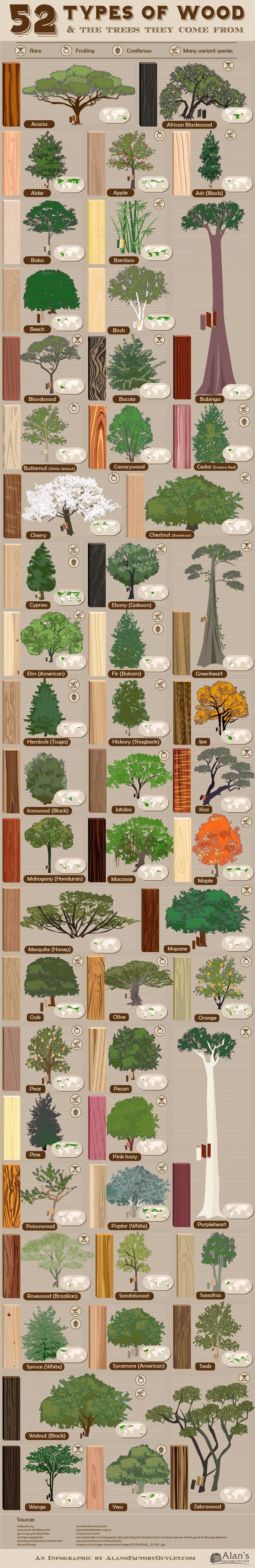 52 types of wood and the trees they come from